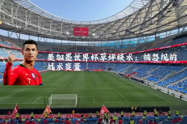 美加墨世界杯草坪技术:被忽视的战术变量